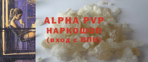 хмурый Абаза