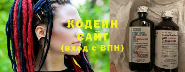 хмурый Абаза