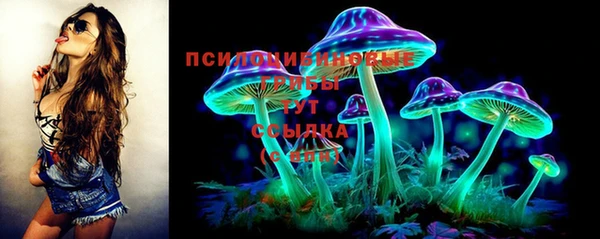 хмурый Абаза